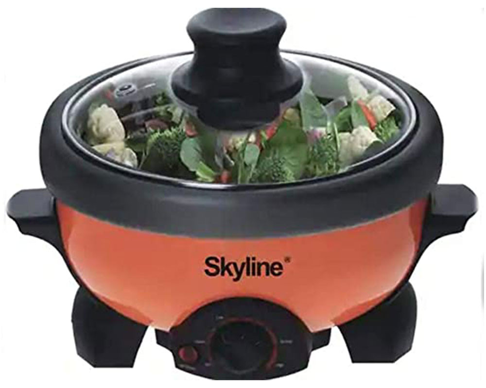 SKY LINE 3 in 1 Multi Cooker Deep Frying, Boiling and Barbecue Grill 2 L